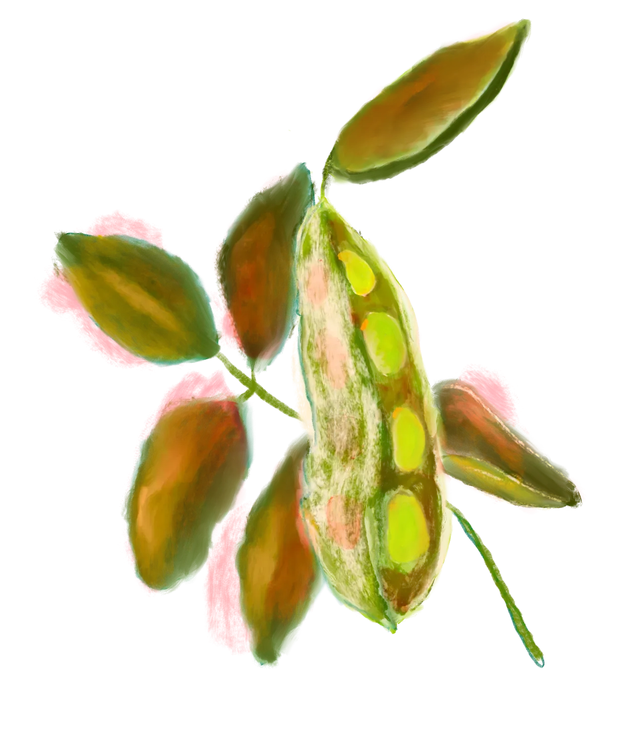 Ecofriendly Homestead home