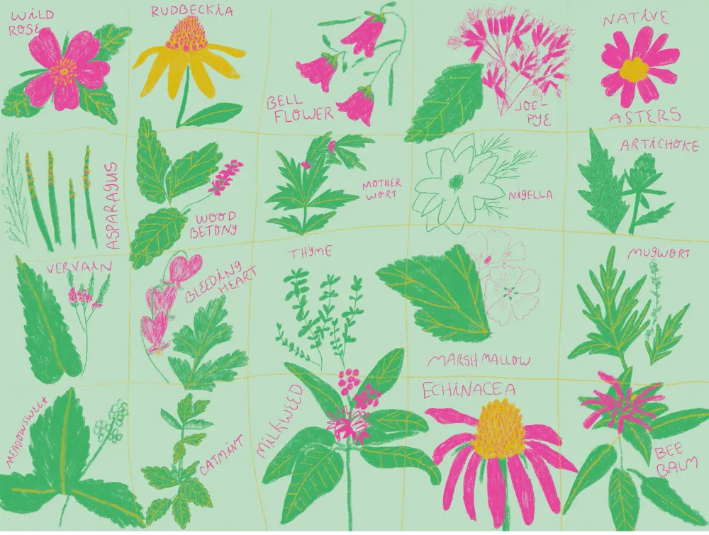 List of seeds that need cold stratification