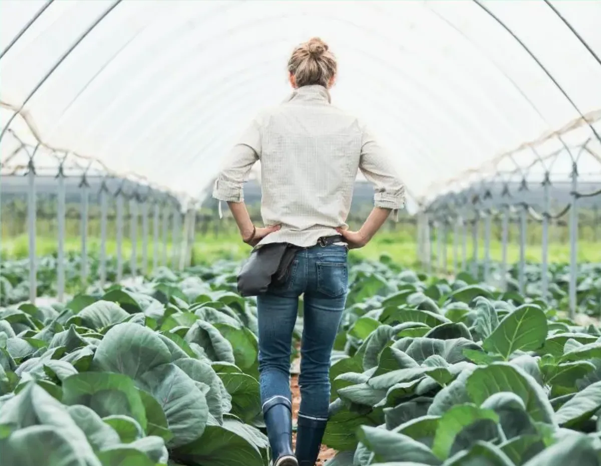 10 Things Nobody Tells You About Starting a Greenhouse (My Personal Experience)