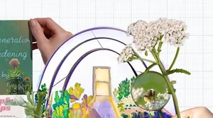 10 Things Nobody Tells You About Starting a Greenhouse (My Personal Experience)