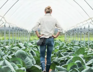 10 Things Nobody Tells You About Starting a Greenhouse (My Personal Experience)