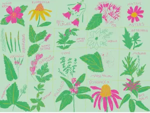 List of seeds that need cold stratification